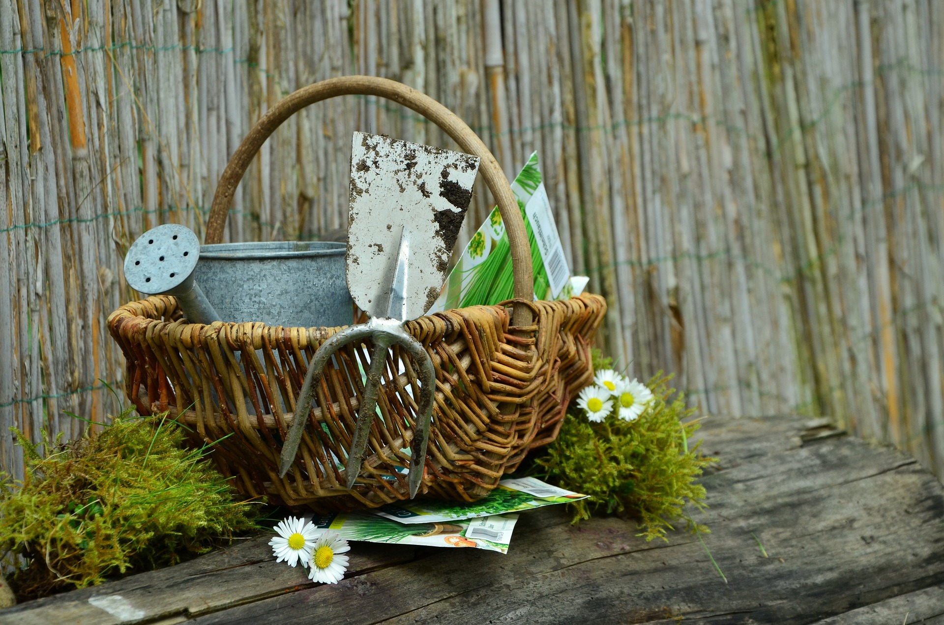 Basket