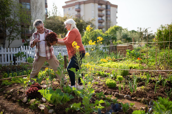 vegetable garden