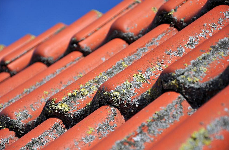 shingles